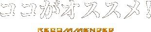 ここがおすすめ!
